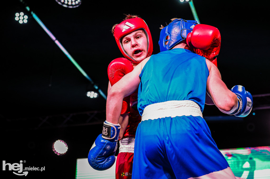 MSB Region Boxing Cup
