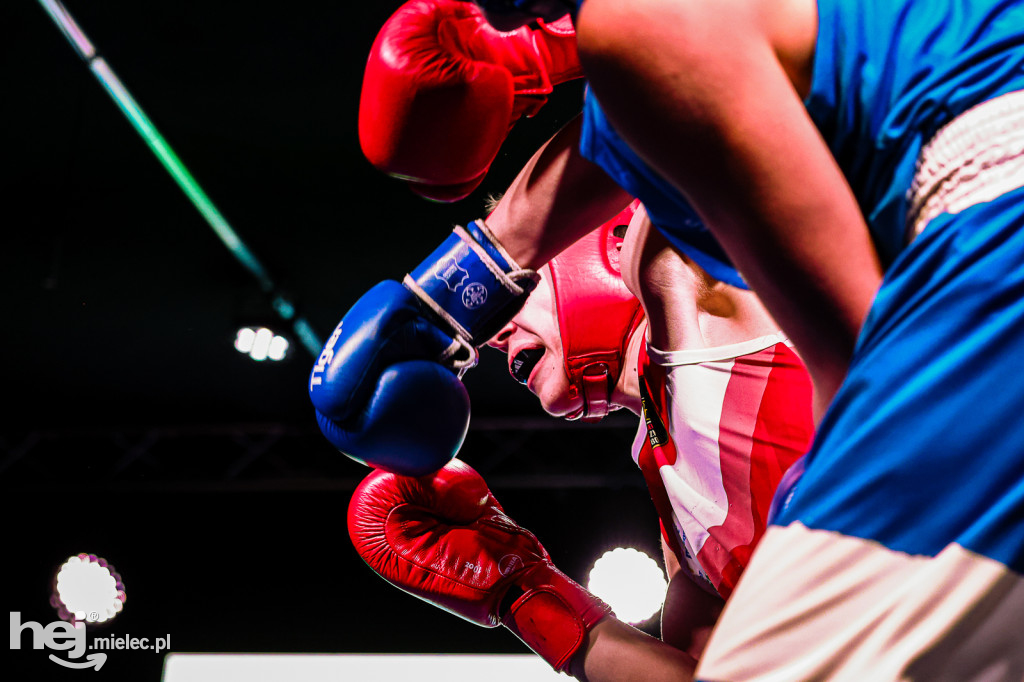 MSB Region Boxing Cup