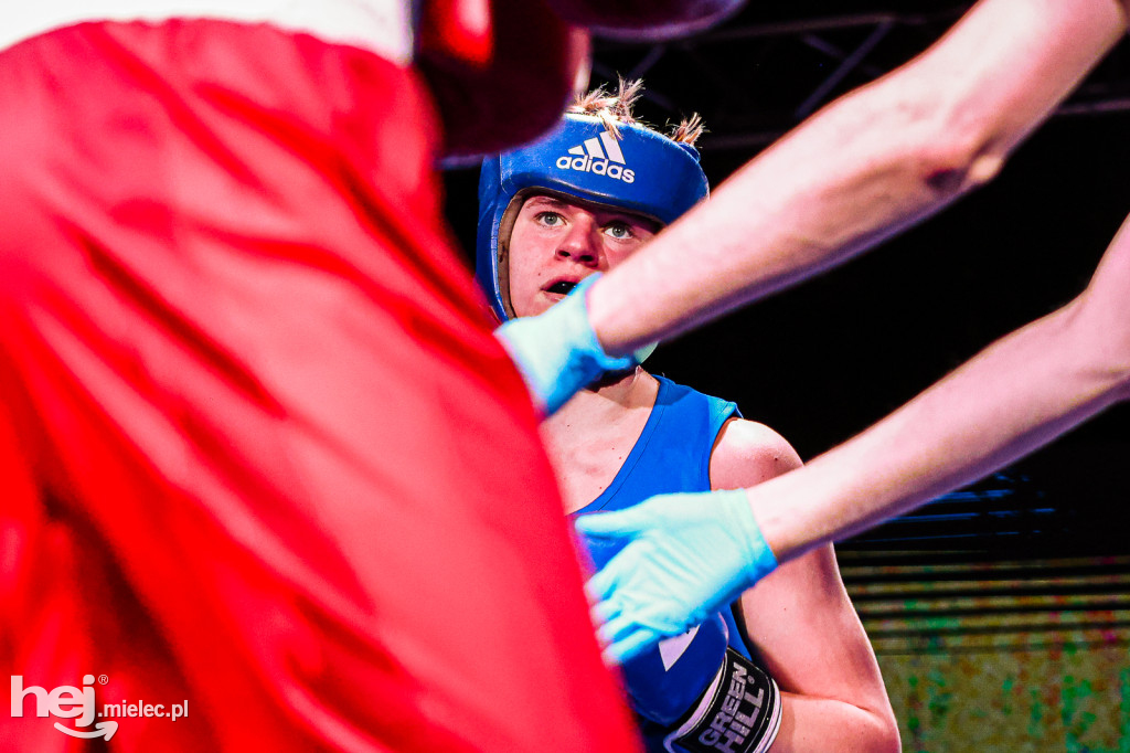 MSB Region Boxing Cup