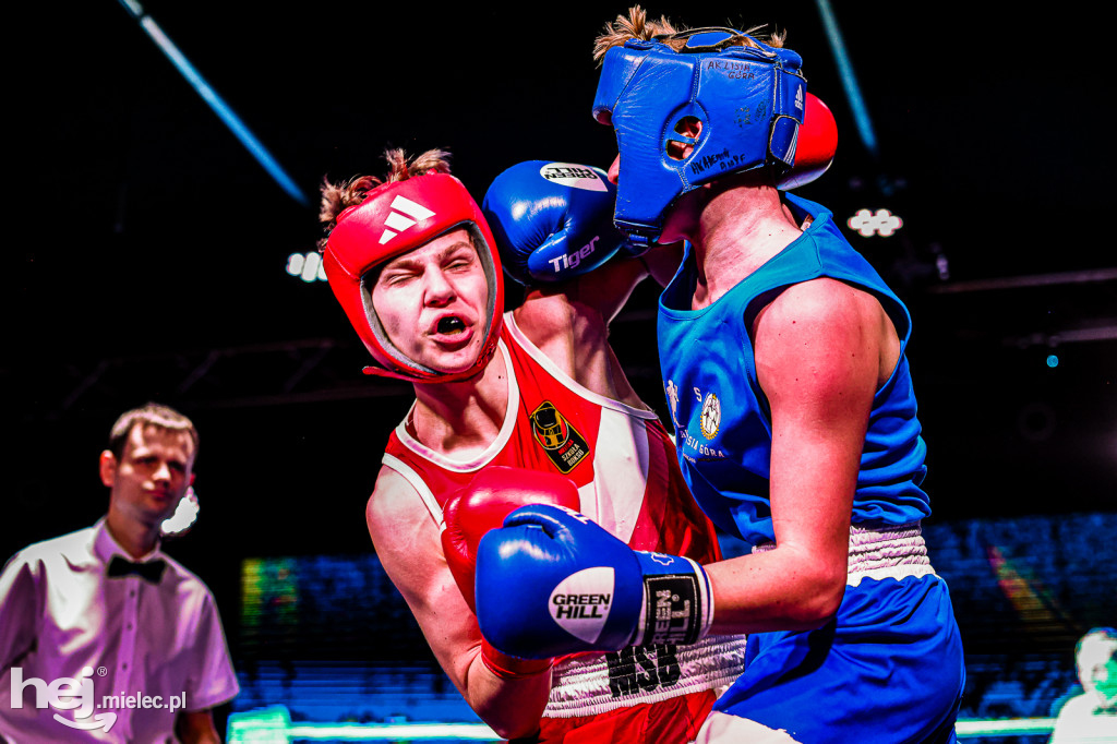MSB Region Boxing Cup