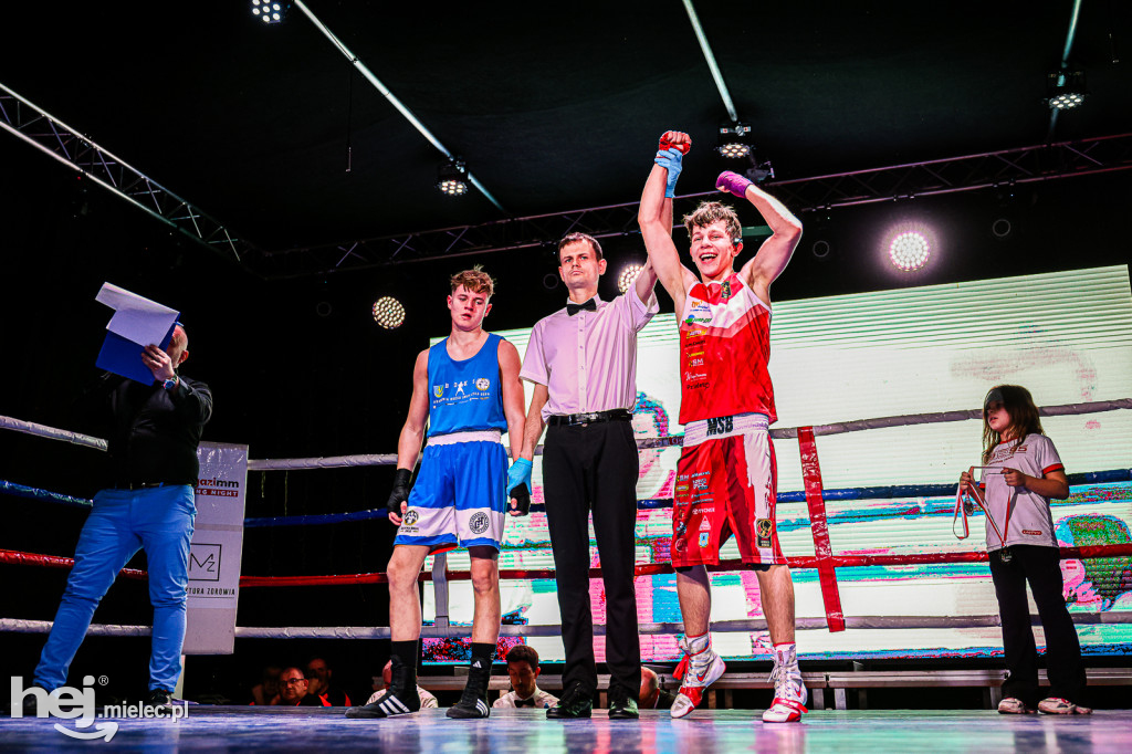 MSB Region Boxing Cup