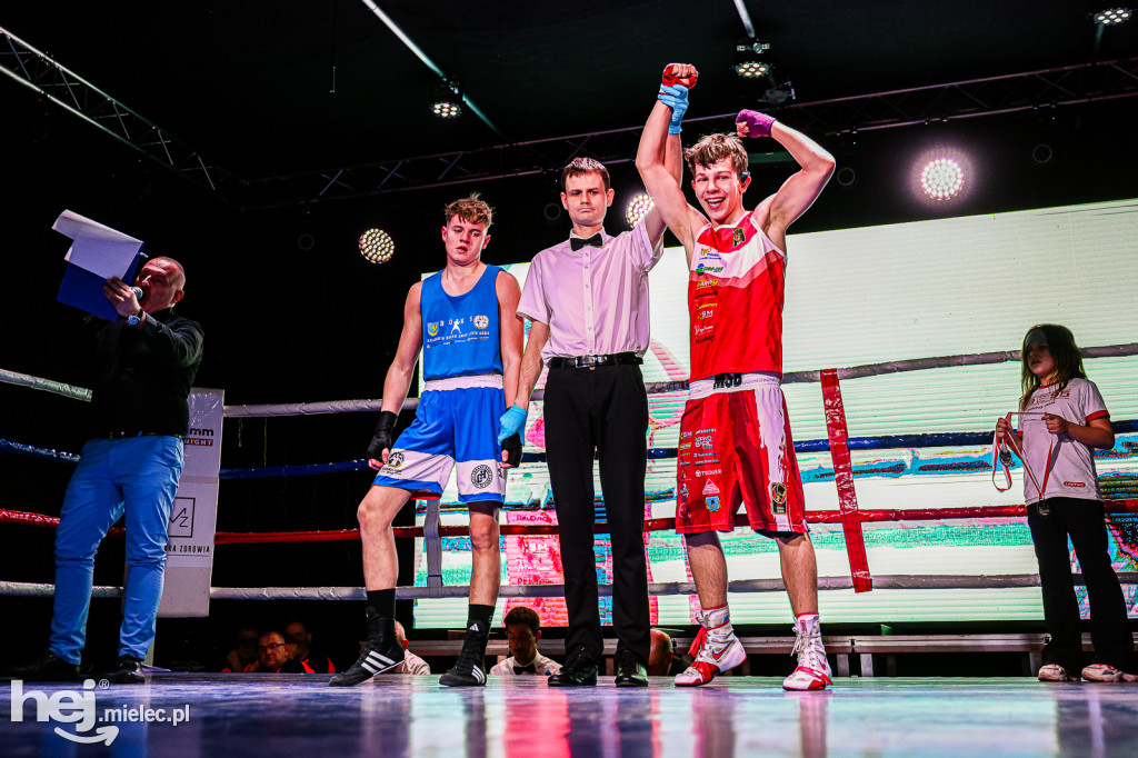 MSB Region Boxing Cup