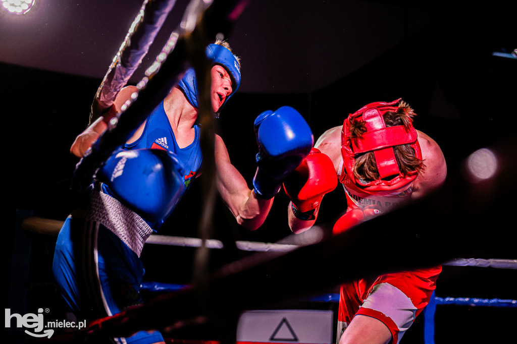MSB Region Boxing Cup
