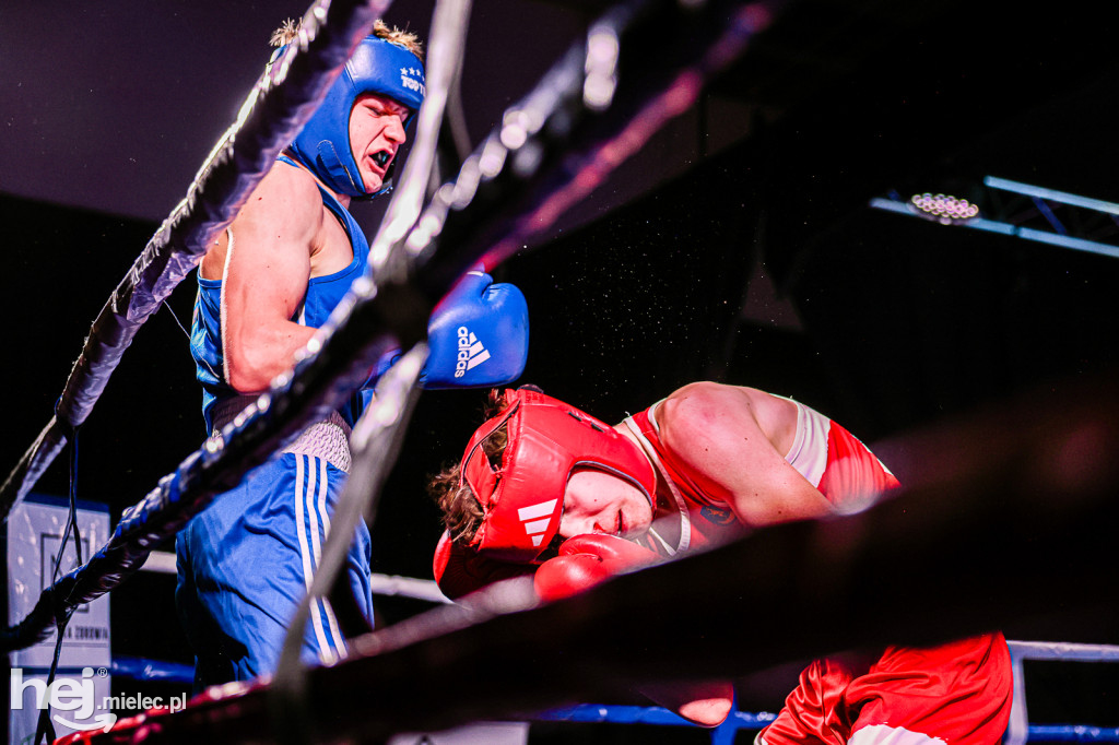 MSB Region Boxing Cup