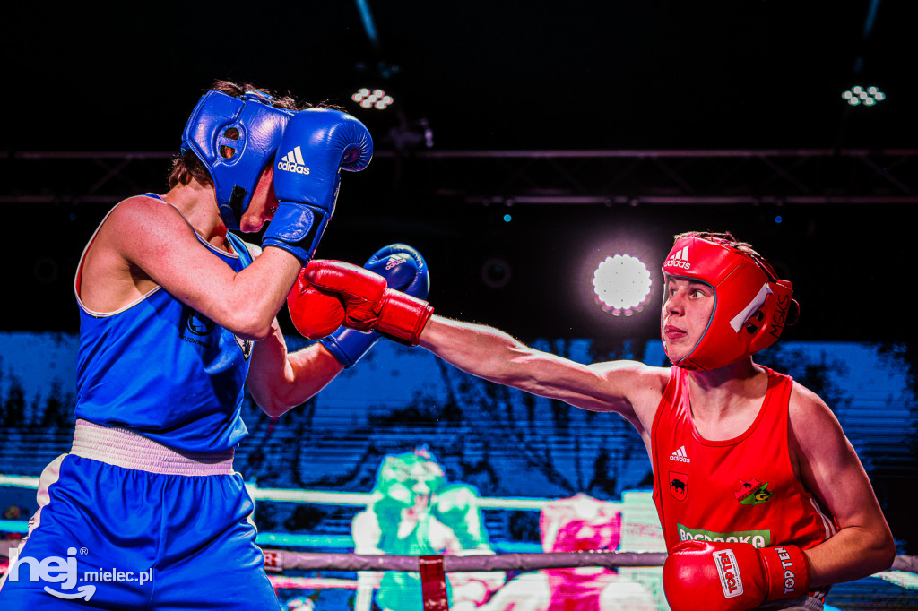 MSB Region Boxing Cup