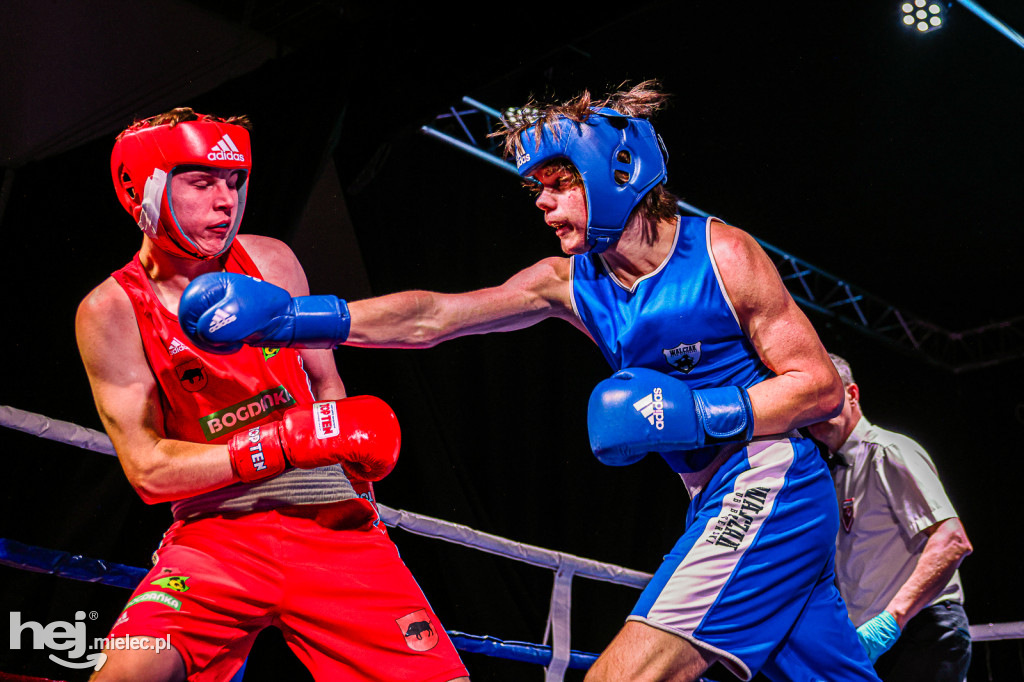 MSB Region Boxing Cup