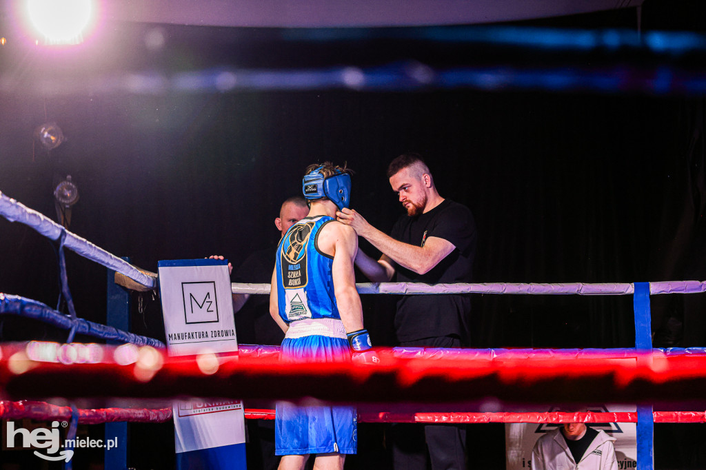 MSB Region Boxing Cup