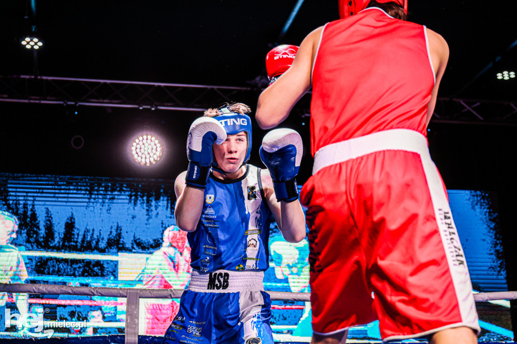 MSB Region Boxing Cup