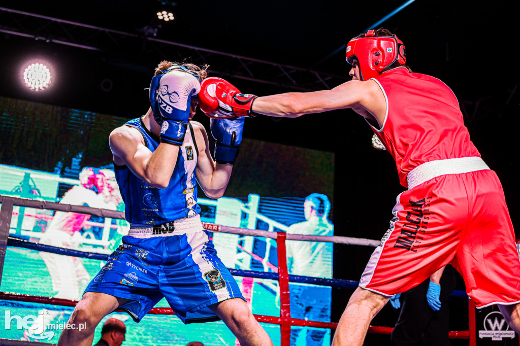MSB Region Boxing Cup