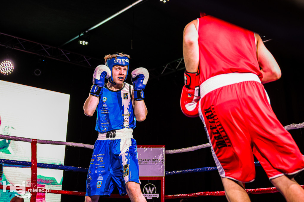 MSB Region Boxing Cup