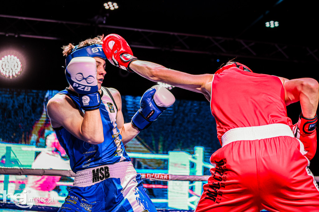 MSB Region Boxing Cup