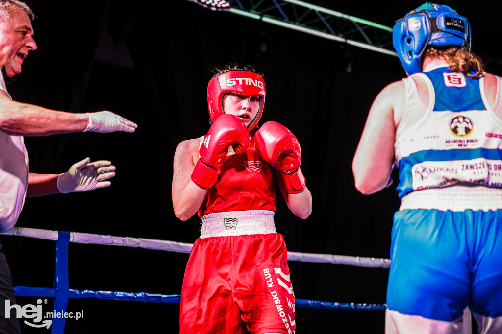 MSB Region Boxing Cup