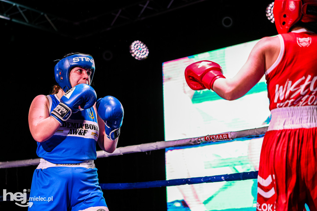 MSB Region Boxing Cup