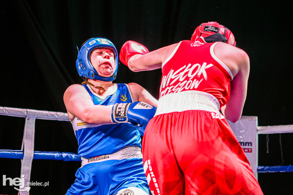 MSB Region Boxing Cup