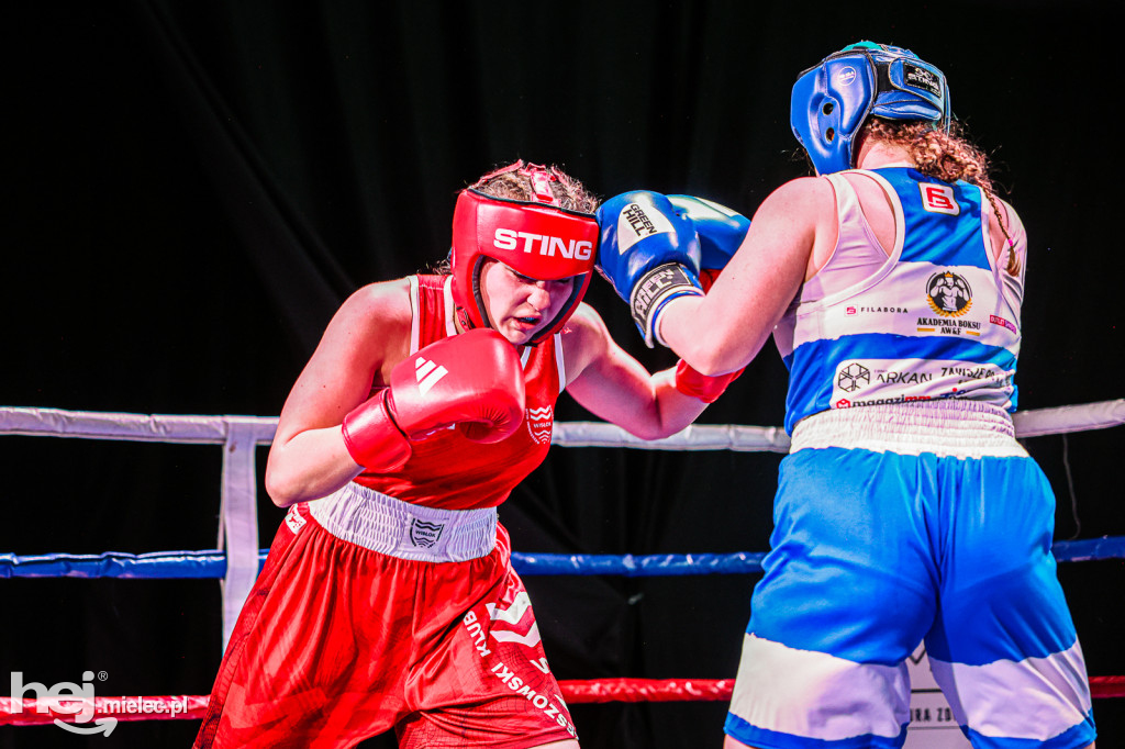 MSB Region Boxing Cup