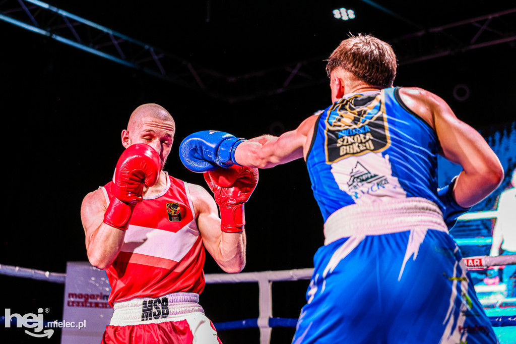 MSB Region Boxing Cup