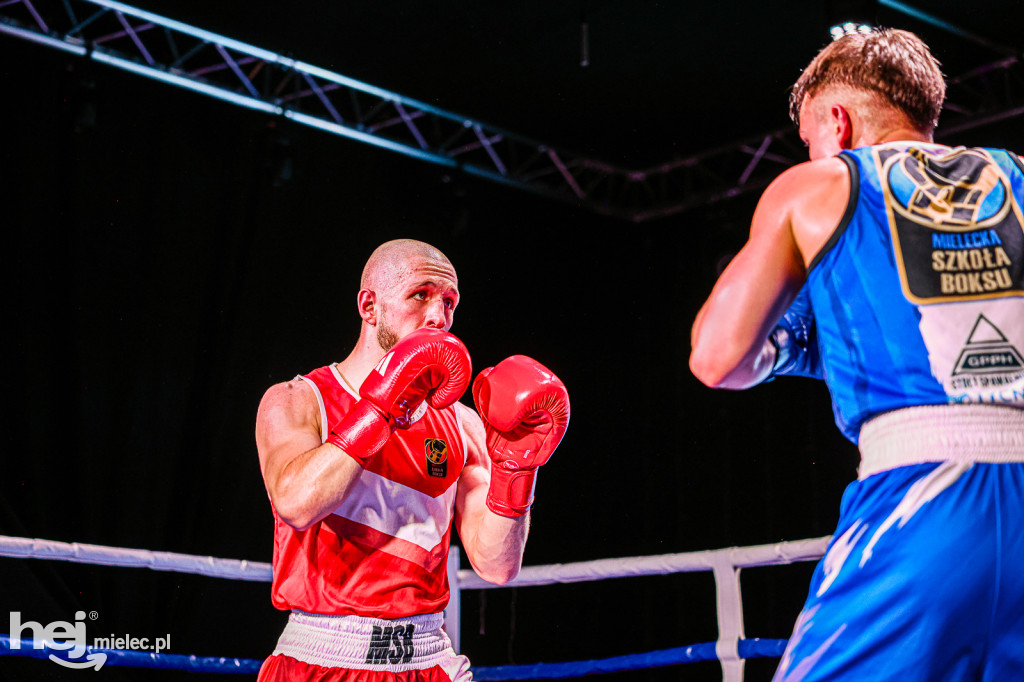 MSB Region Boxing Cup