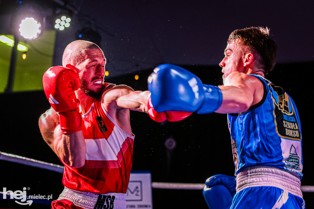 MSB Region Boxing Cup