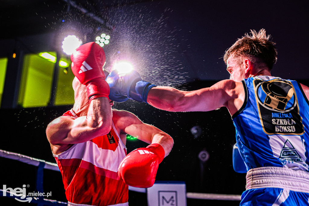 MSB Region Boxing Cup