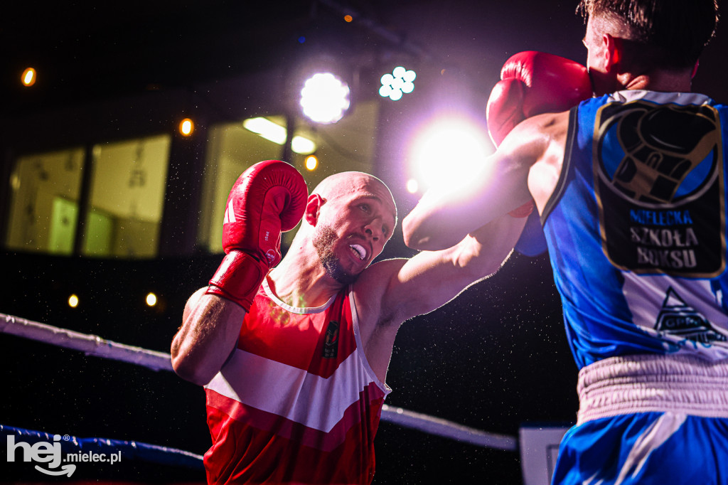 MSB Region Boxing Cup