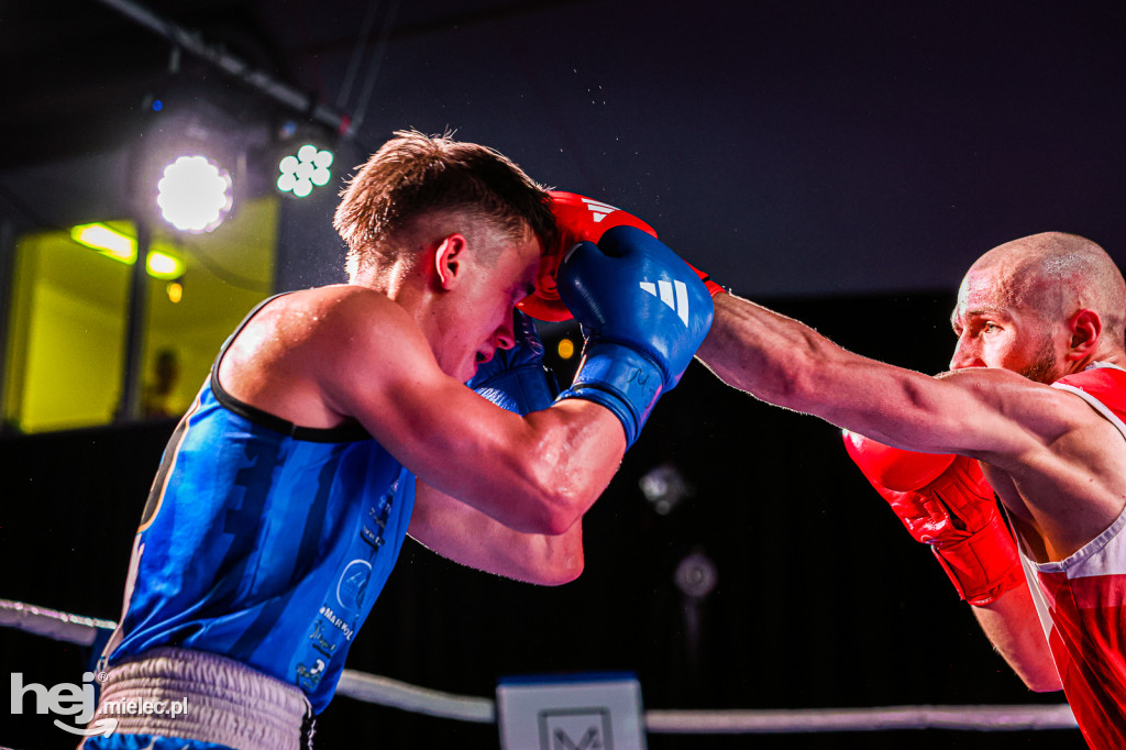 MSB Region Boxing Cup