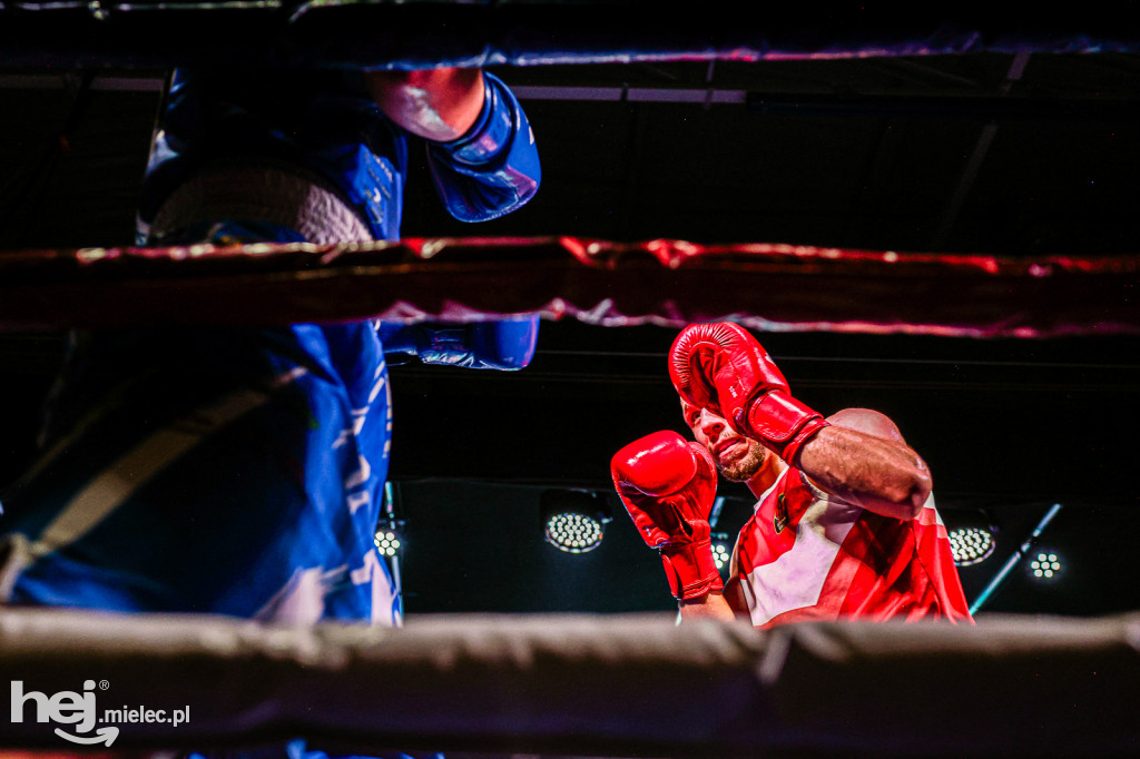 MSB Region Boxing Cup
