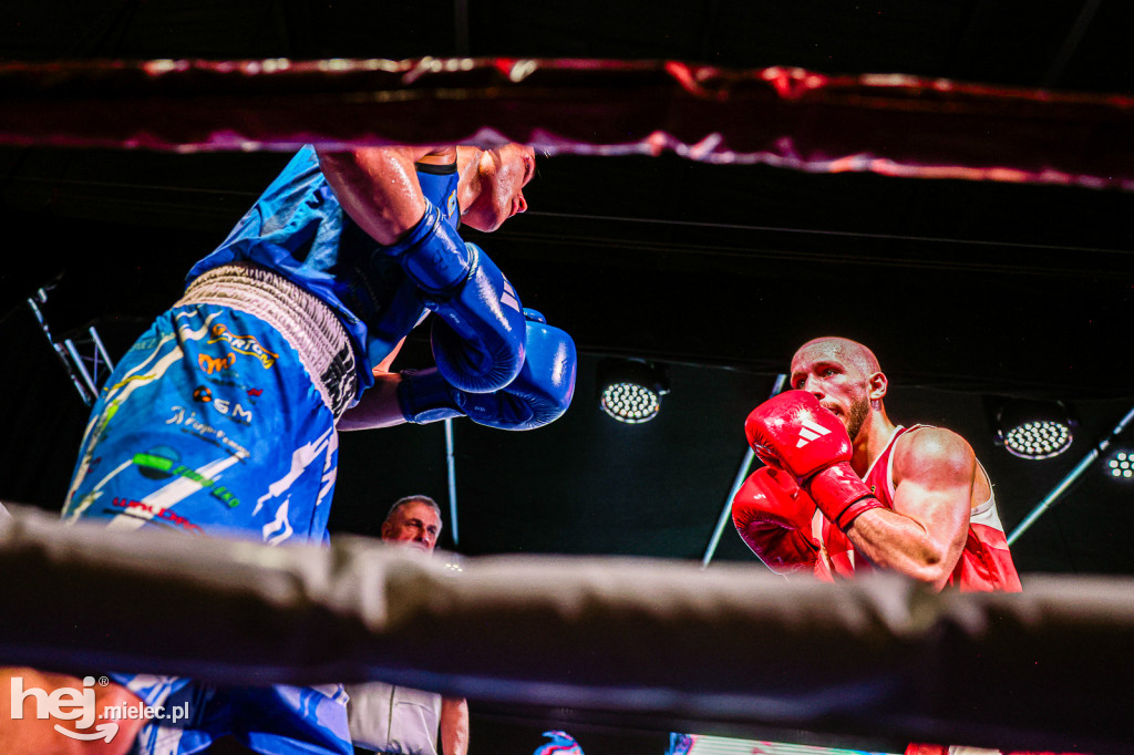 MSB Region Boxing Cup