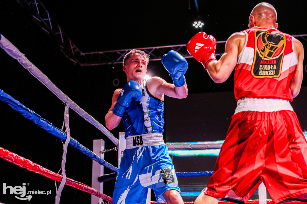 MSB Region Boxing Cup