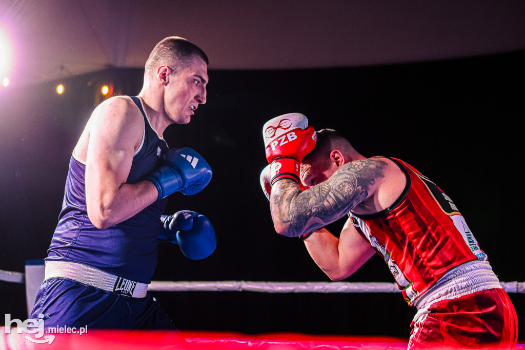 MSB Region Boxing Cup