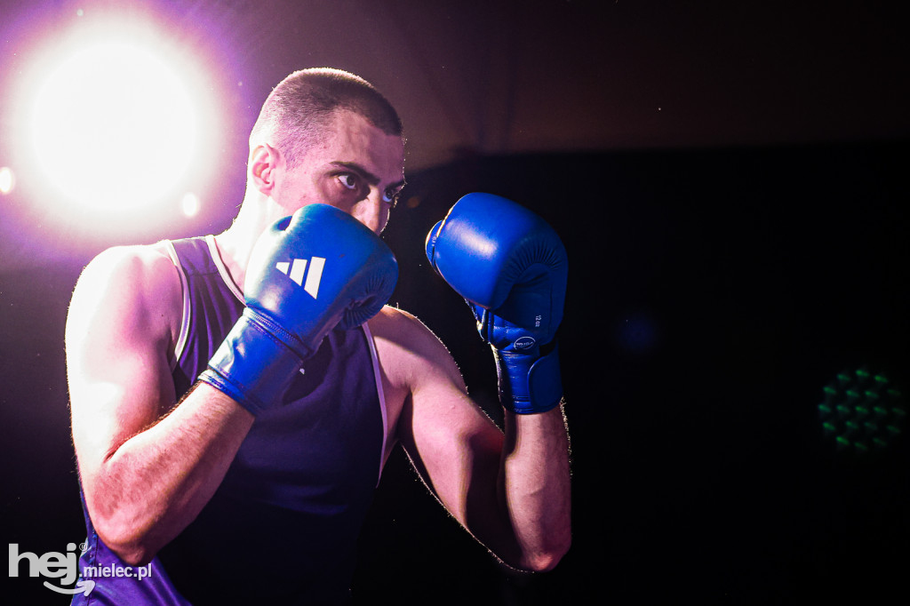 MSB Region Boxing Cup