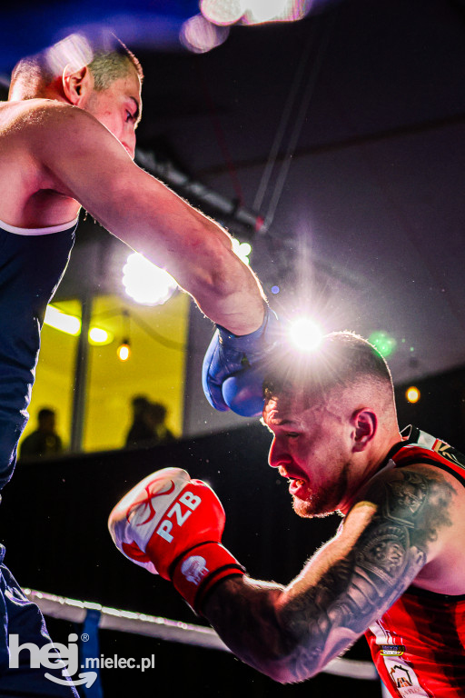 MSB Region Boxing Cup