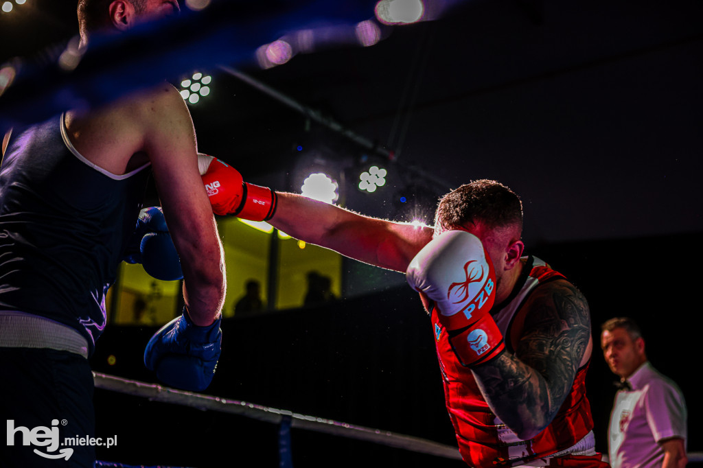 MSB Region Boxing Cup