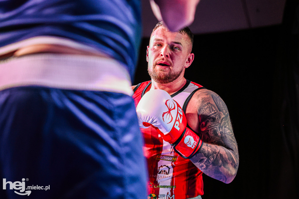 MSB Region Boxing Cup