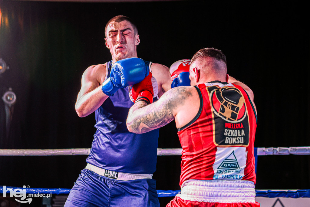 MSB Region Boxing Cup