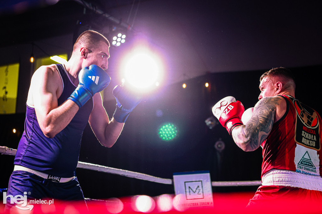 MSB Region Boxing Cup