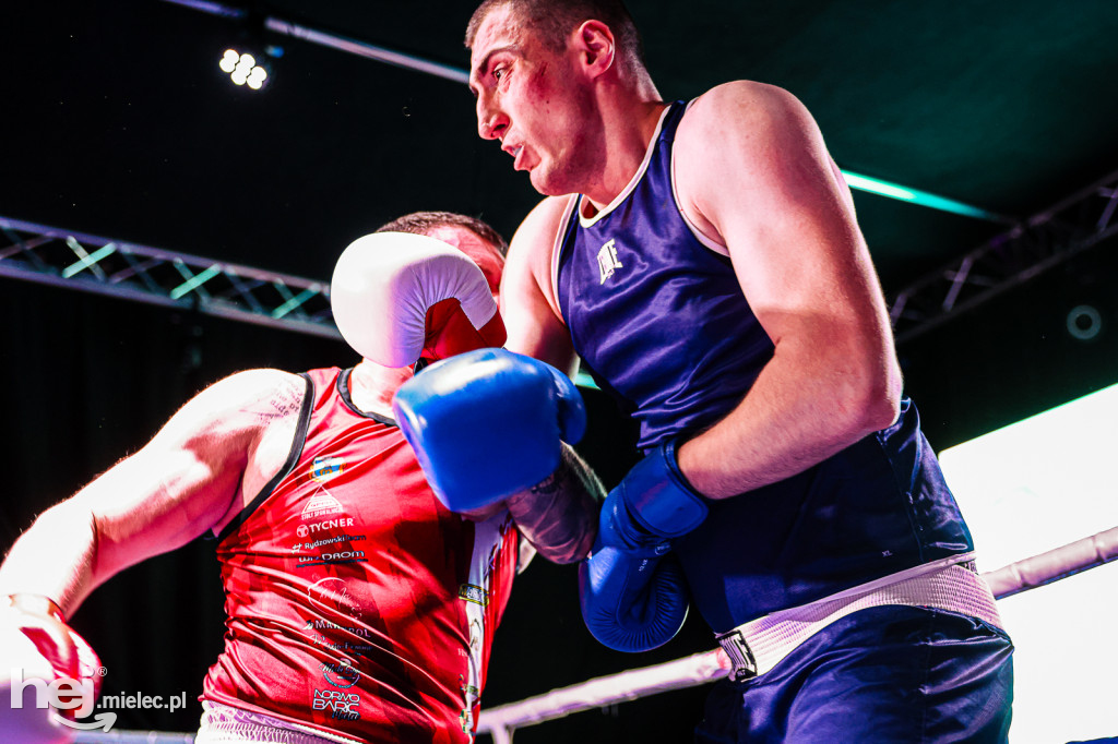 MSB Region Boxing Cup