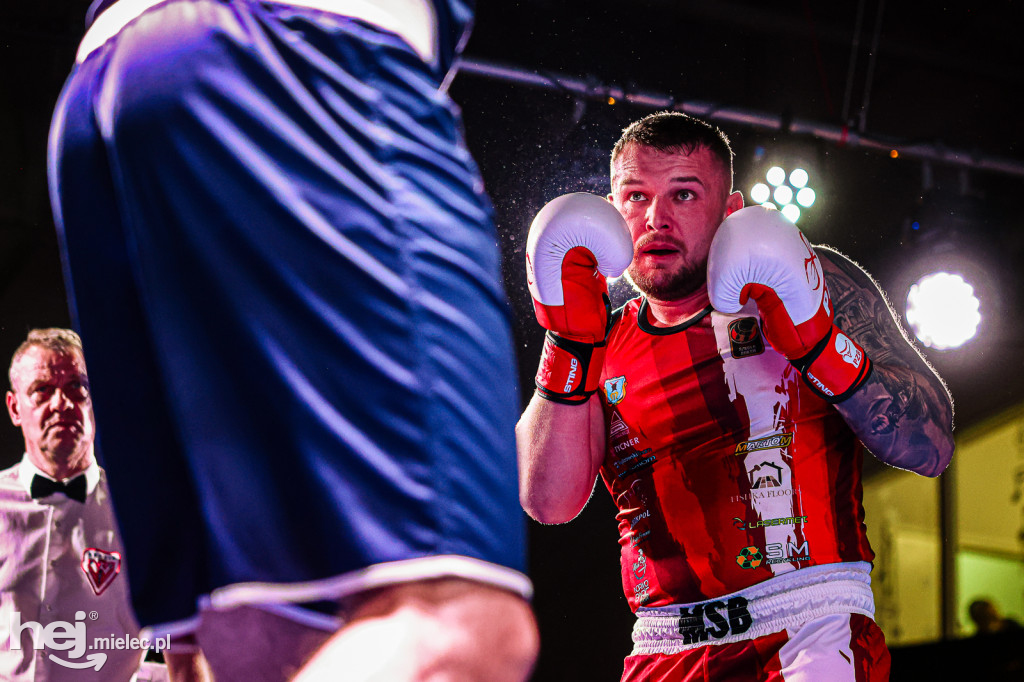 MSB Region Boxing Cup