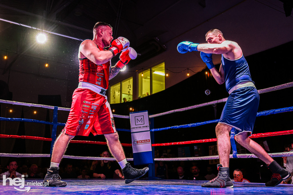 MSB Region Boxing Cup