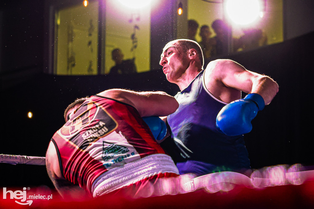 MSB Region Boxing Cup