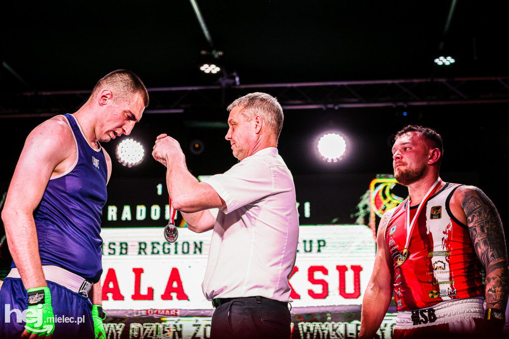 MSB Region Boxing Cup