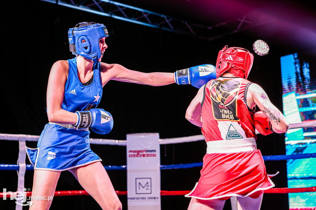MSB Region Boxing Cup