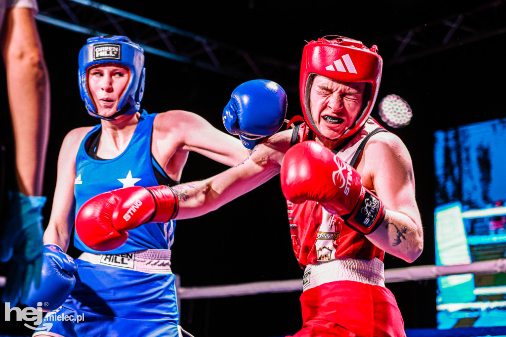 MSB Region Boxing Cup