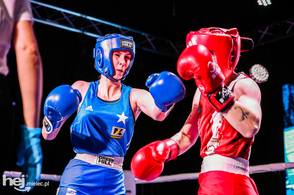 MSB Region Boxing Cup