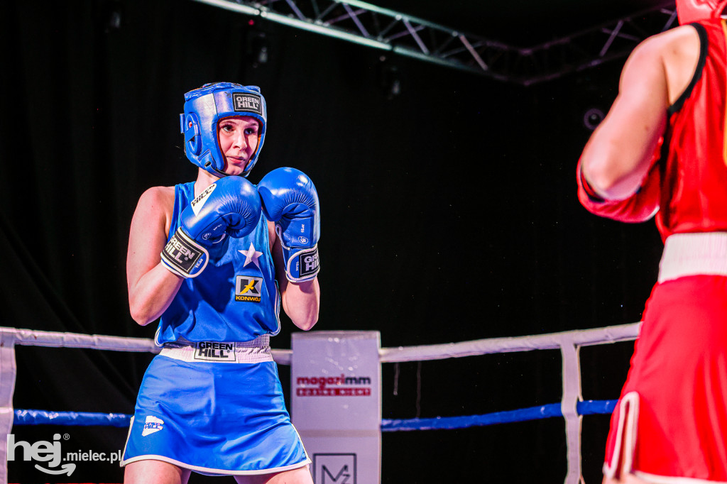 MSB Region Boxing Cup