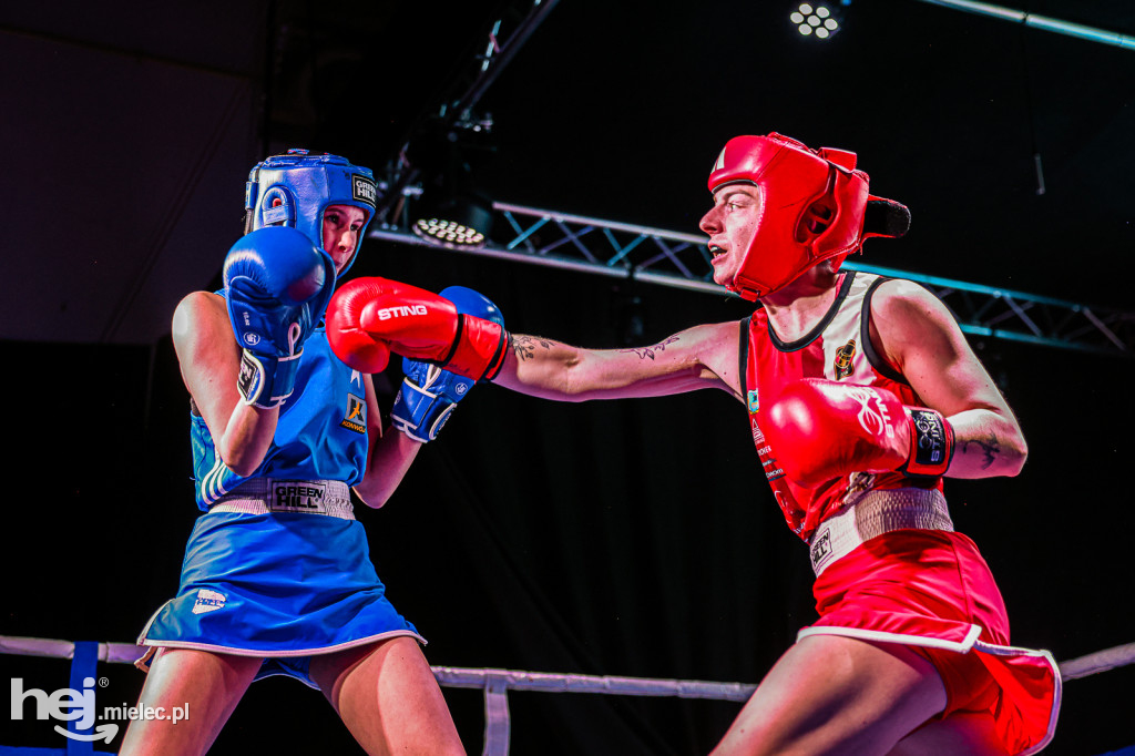 MSB Region Boxing Cup