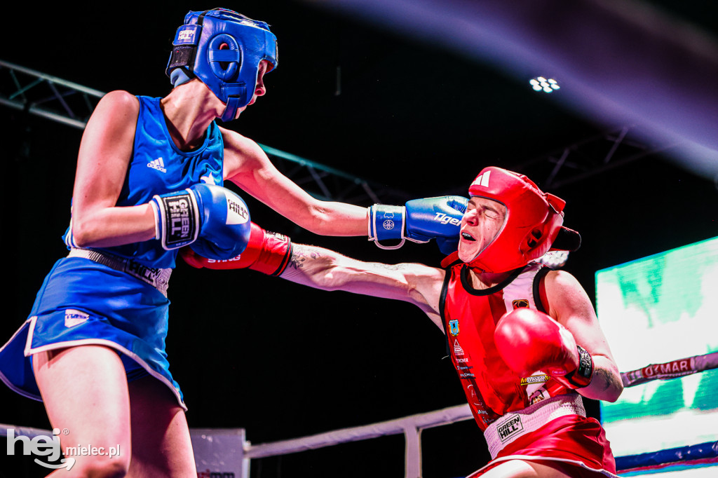 MSB Region Boxing Cup