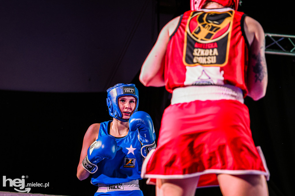 MSB Region Boxing Cup