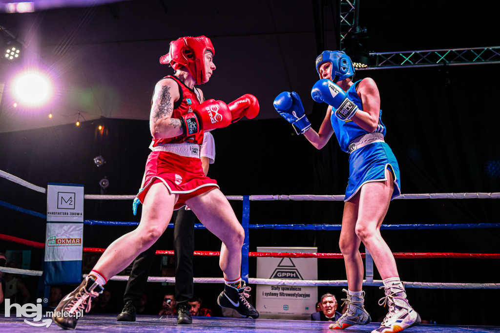 MSB Region Boxing Cup