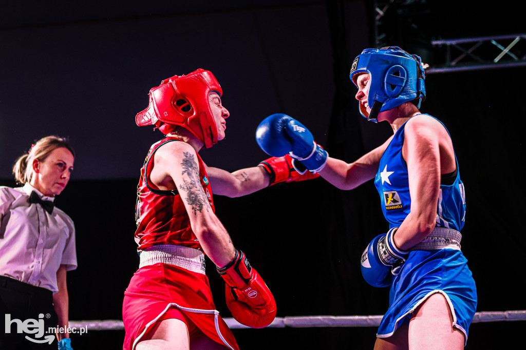 MSB Region Boxing Cup