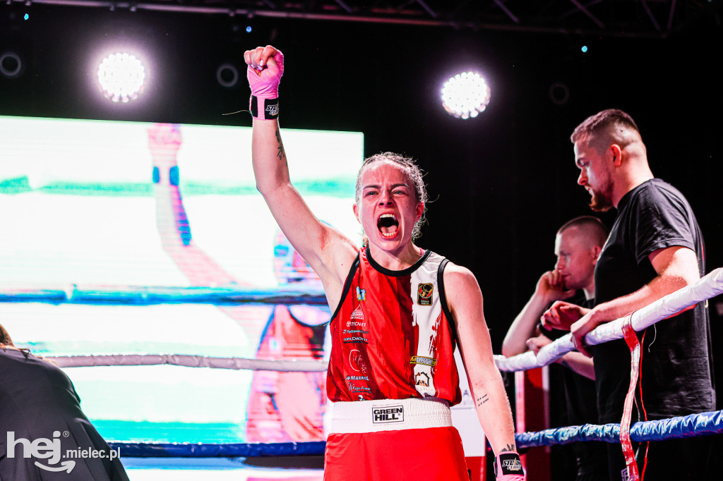 MSB Region Boxing Cup